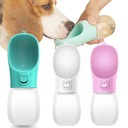 Outdoor Pet Water Dispenser