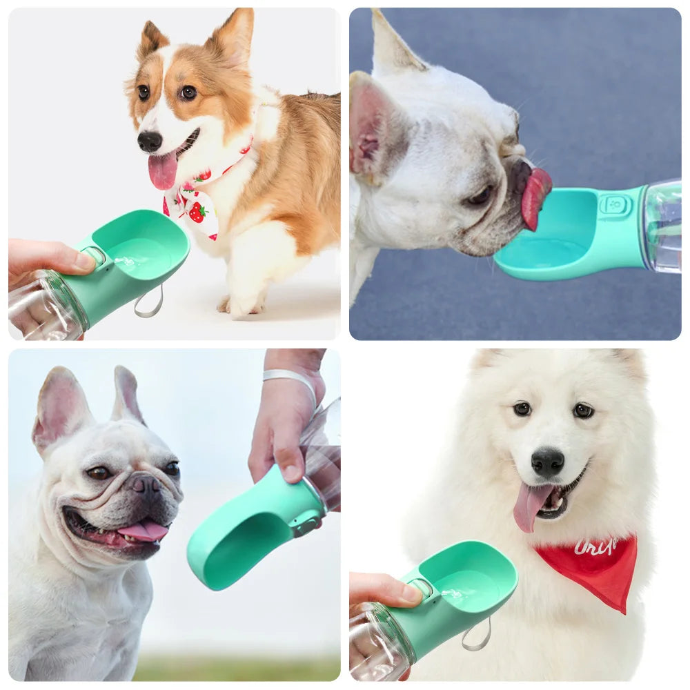 Outdoor Pet Water Dispenser