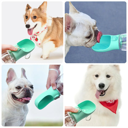 Outdoor Pet Water Dispenser